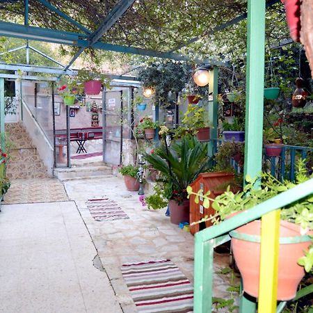 بيت الطبيعة Nature House Gerasa Exterior foto