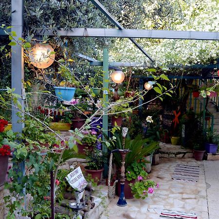 بيت الطبيعة Nature House Gerasa Exterior foto