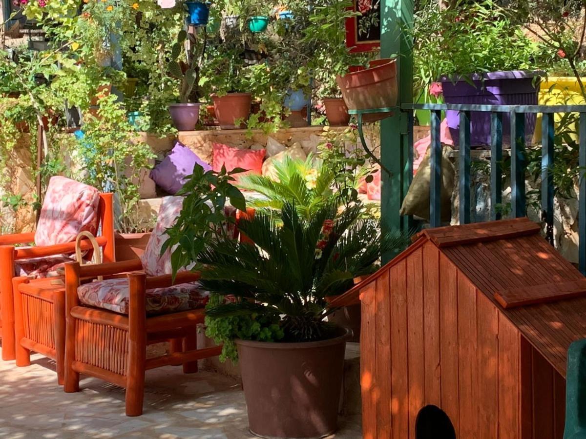 بيت الطبيعة Nature House Gerasa Exterior foto