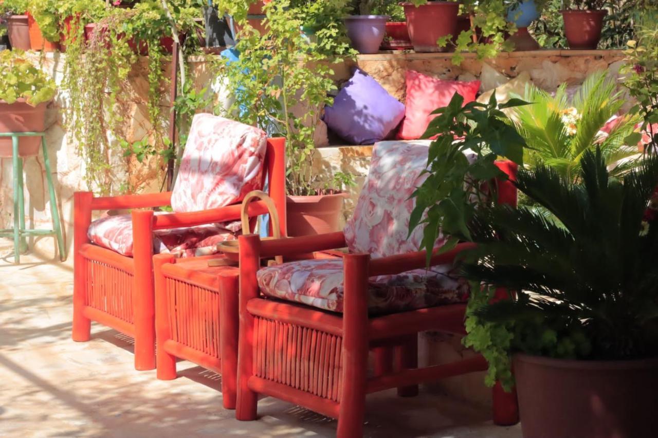 بيت الطبيعة Nature House Gerasa Exterior foto