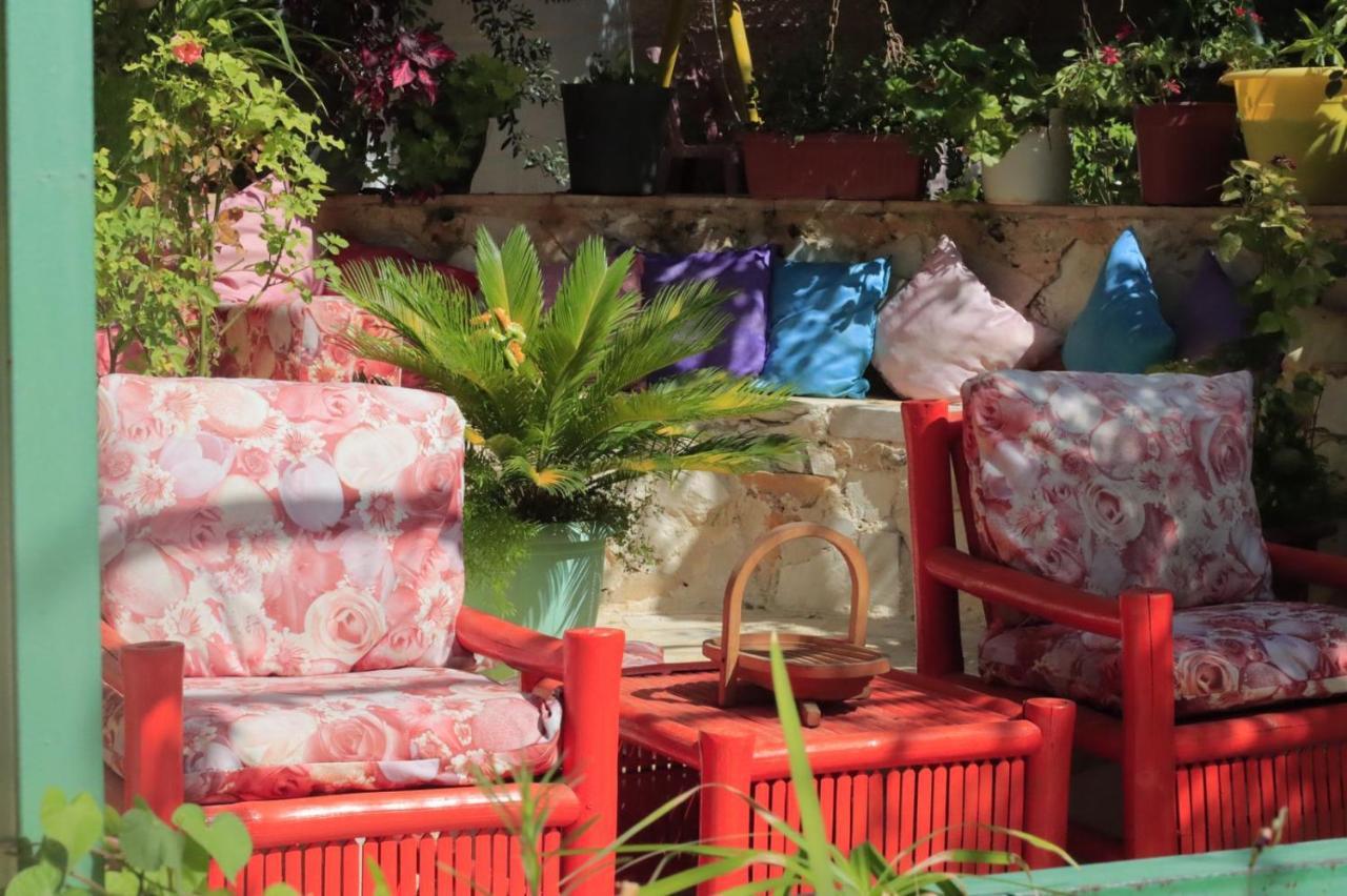 بيت الطبيعة Nature House Gerasa Exterior foto