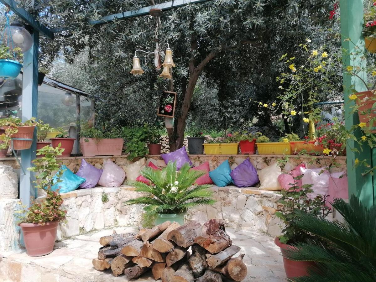 بيت الطبيعة Nature House Gerasa Exterior foto