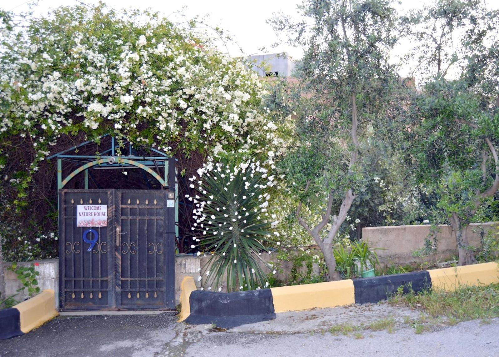 بيت الطبيعة Nature House Gerasa Exterior foto