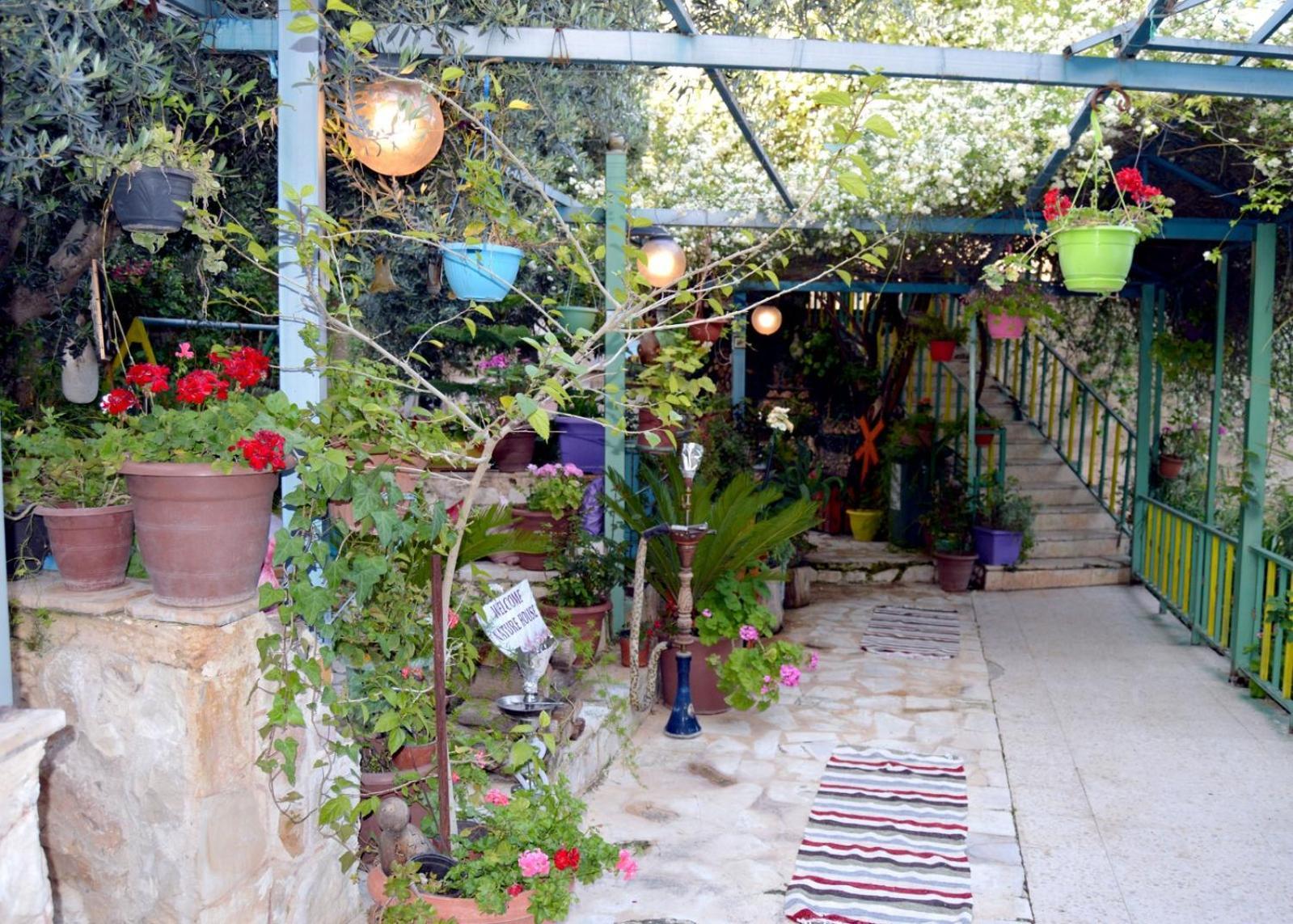 بيت الطبيعة Nature House Gerasa Zimmer foto