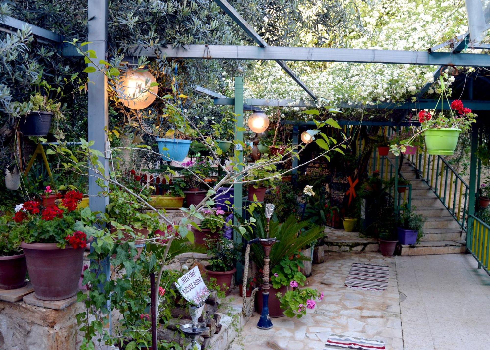 بيت الطبيعة Nature House Gerasa Exterior foto